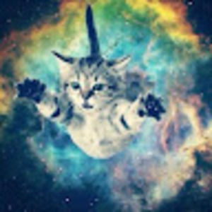 Meet your Posher, Benjamin